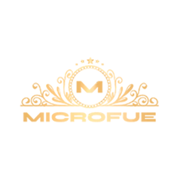 Logo Microfue